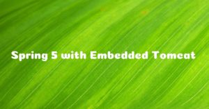 Read more about the article How to Build Spring 5 REST API with Embedded Tomcat without using Spring Boot