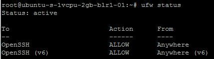 Ubuntu firewall status