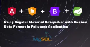 Read more about the article How to Use Angular Material Datepicker Custom Date Format