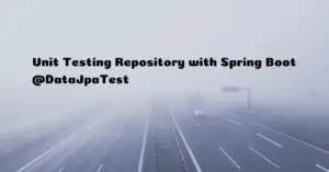 Read more about the article How to Unit Test Repository with SpringBoot @DataJpaTest
