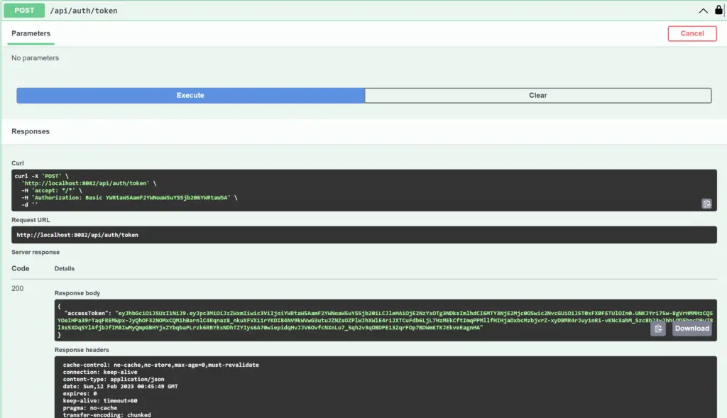 Accessing Token API with Basic Auth